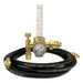inert gas regulator flowmeter with machined brass fittings coiled black argon hose and metal ball in cylinder visible - centered
